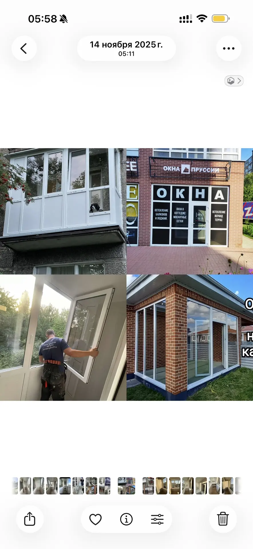 Остекление лоджии с собакой у окна